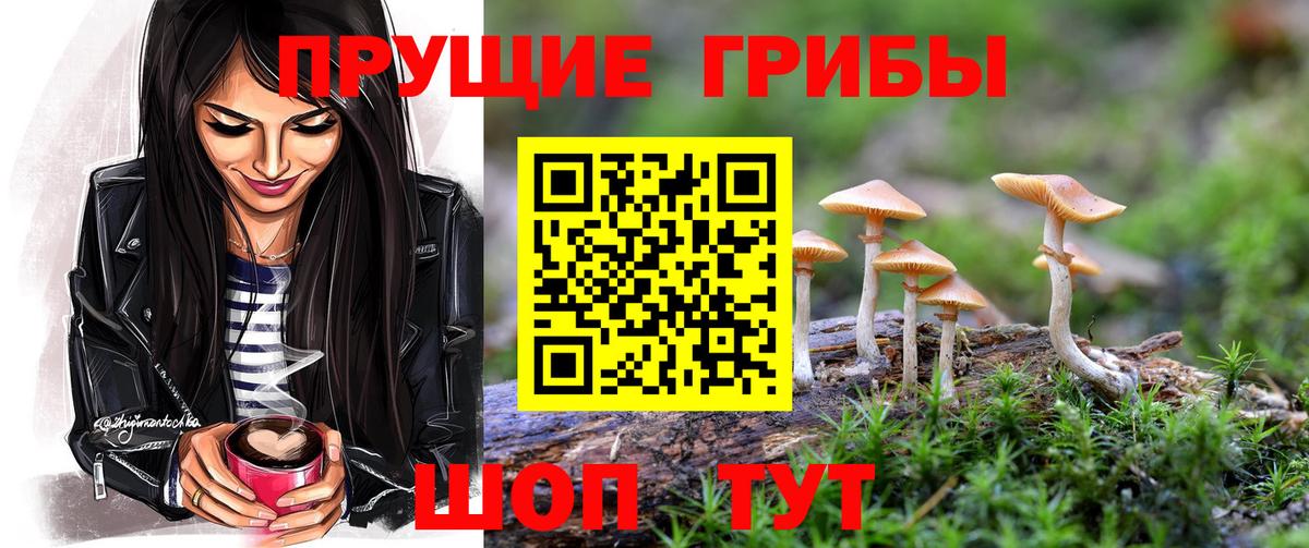 Псилоцибиновые грибы прущие грибы  дарнет шоп  Псилоцибиновые грибы MAGIC MUSHROOMS  Ногинск  Вход с VPN 