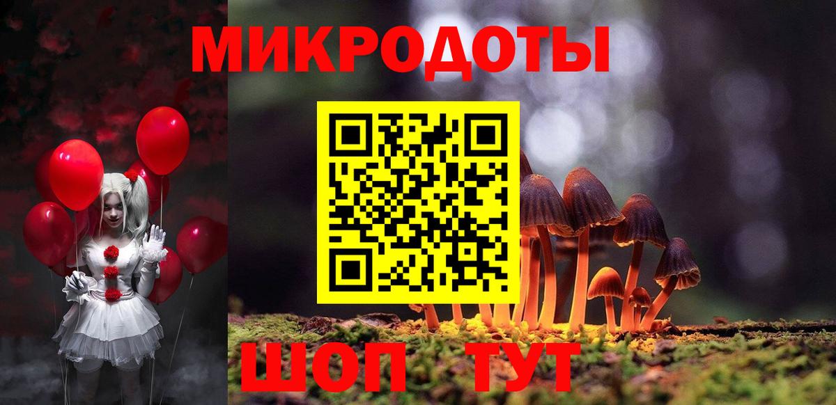 Галлюциногенные грибы Psilocybe Ногинск